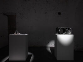 Günther Möbius Clementin Seedorf 