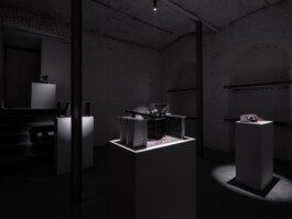 Günther Möbius Clementin Seedorf 