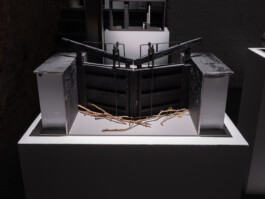 Günther Möbius Clementin Seedorf 