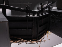 Günther Möbius Clementin Seedorf 