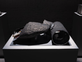 Günther Möbius Clementin Seedorf 