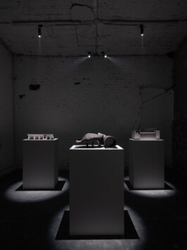 Günther Möbius Clementin Seedorf 