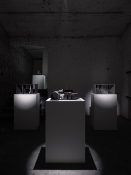 Günther Möbius Clementin Seedorf 