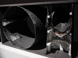 Günther Möbius Clementin Seedorf 