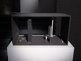 Günther Möbius Clementin Seedorf 