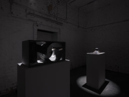 Günther Möbius Clementin Seedorf 