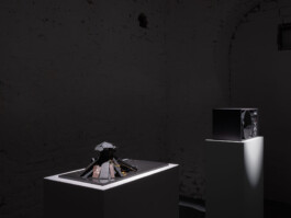 Günther Möbius Clementin Seedorf 